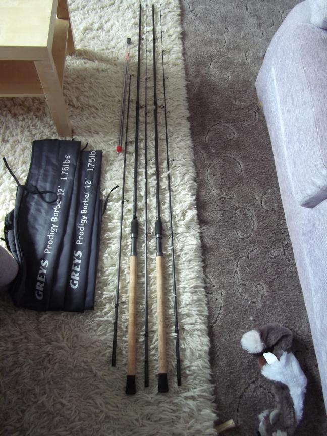 greys prodigy barbel rod 1.75