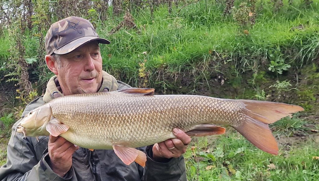 1000017290.jpg 1000017290.jpg