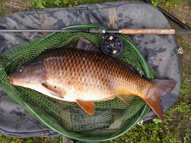 Carp 18lb River Vienne.jpg