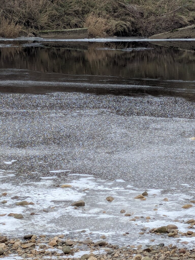 Frozen river 2.jpg