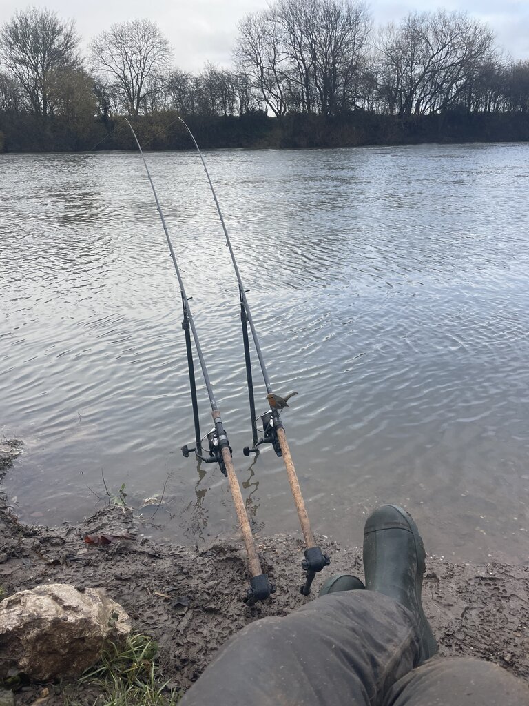 IMG_5503.jpeg