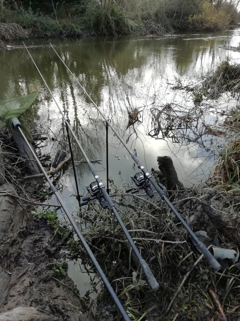 Looking to acquire new barbel rods
