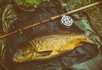 15lb 8 oz 30-7-2010 Sharnbrook pit 5.-Edit-2.jpeg