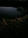 20250205_181744.jpg