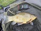 IMG_2128.jpeg