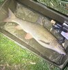 IMG_1935.jpeg