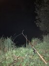 IMG_0859.jpeg