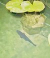IMG_9493.jpeg