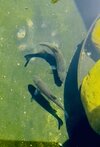 IMG_9490.jpeg