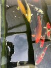 IMG_7865.jpeg