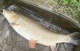 IMG_6183.jpeg