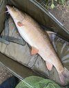 IMG_1524.jpeg