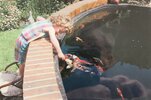 IMG_2600.jpeg