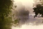IMG_5331.jpeg