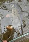 IMG_0832.jpeg