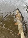 IMG_0971.jpeg