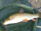 DSC05459.JPG