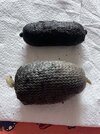 IMG_7887.jpeg