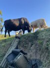 IMG_4152.jpeg