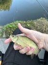 IMG_2330.jpeg