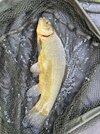 IMG_2331.jpeg