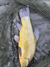 IMG_2332.jpeg