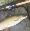 IMG_6239.jpeg