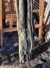 IMG_3729.jpeg