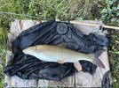 IMG_3770.jpeg