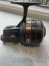 IMG_2029.jpeg