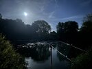 IMG_2991.jpeg