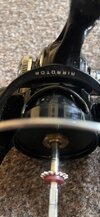 IMG_4882.jpeg