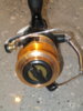6000D5.JPG