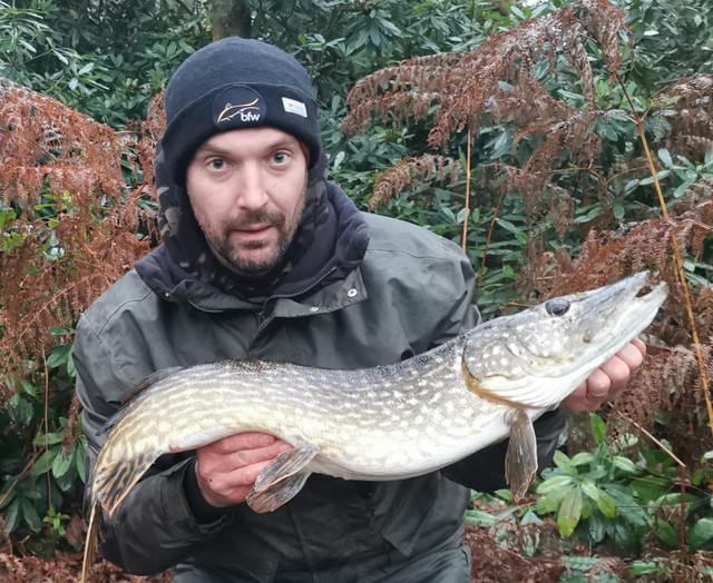 First time dead baiting for pike with circle hooks 