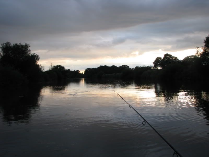 IMG_1584.jpg