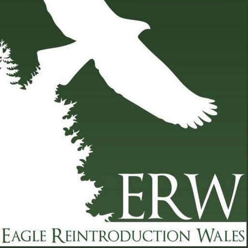 raptorpersecutionscotland.wordpress.com