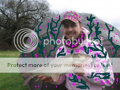 4de65958f2ec0AB.jpg