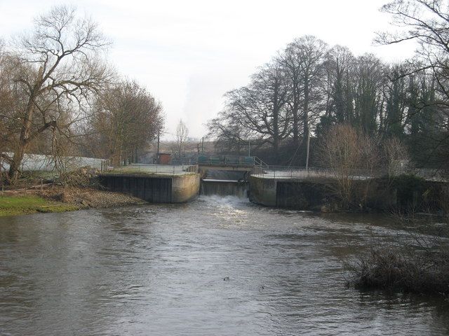 River_Tern_-_geographorguk_-_328501.jpg