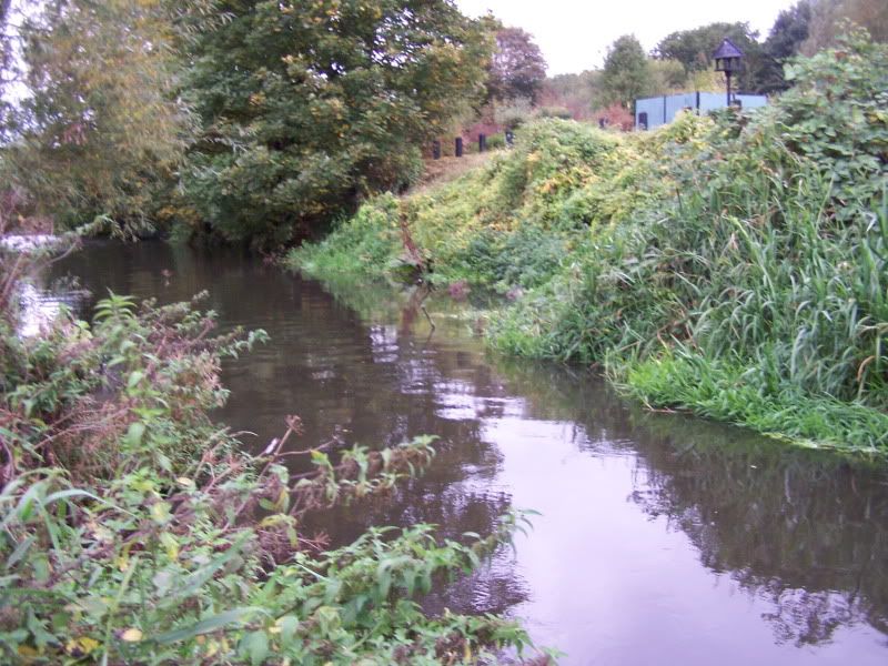 100_3869.jpg