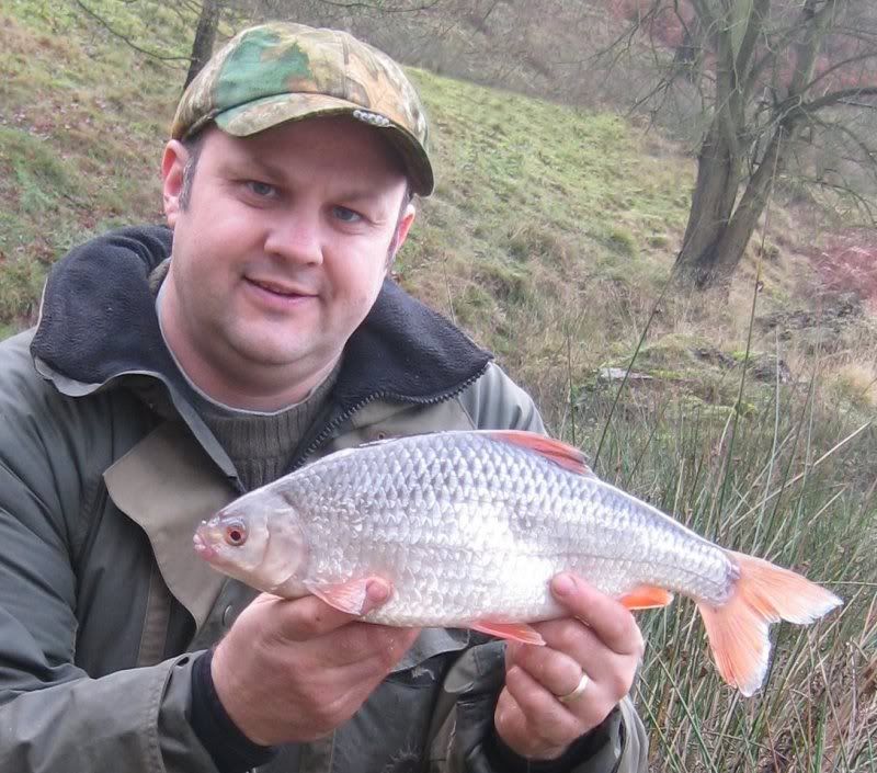 2-05roach-steve-12-12-09ccrop2.jpg