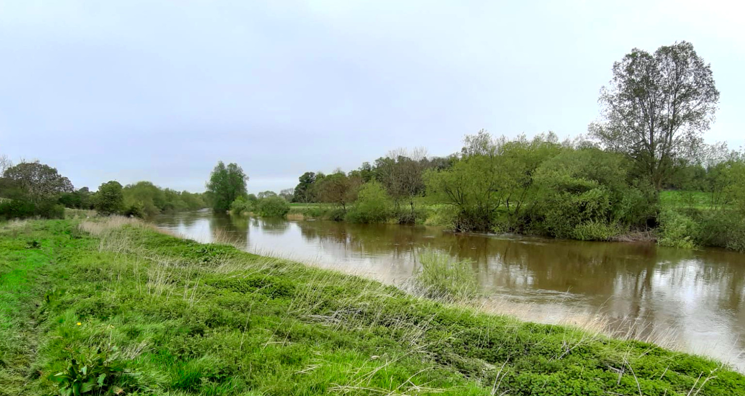 shrewsburytownfisheries.co.uk