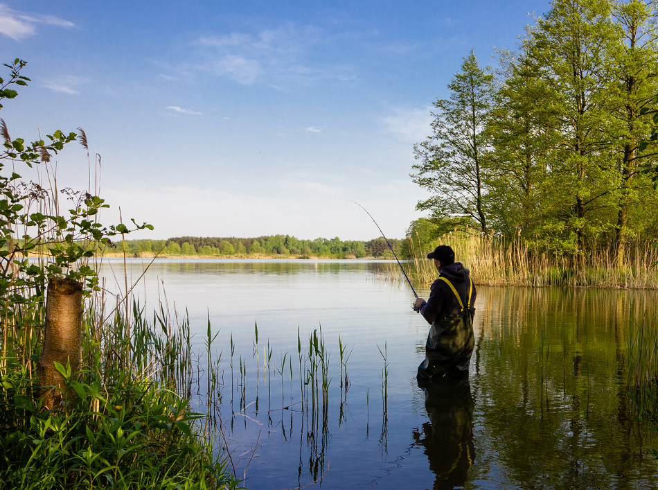 anglingtrust.net