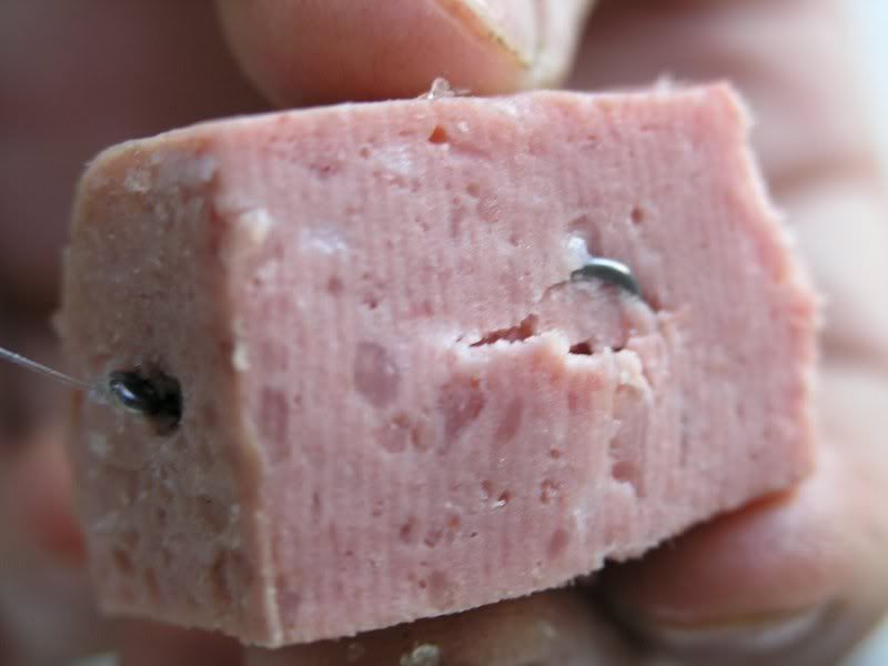 Pic5.jpg