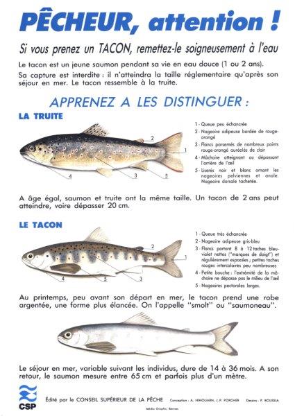 www-federation--peche64-fr.translate.goog