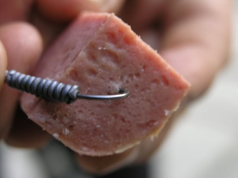 Luncheon Meat Bait Stops for Hair Rig Coarse Paste Carp Fishing