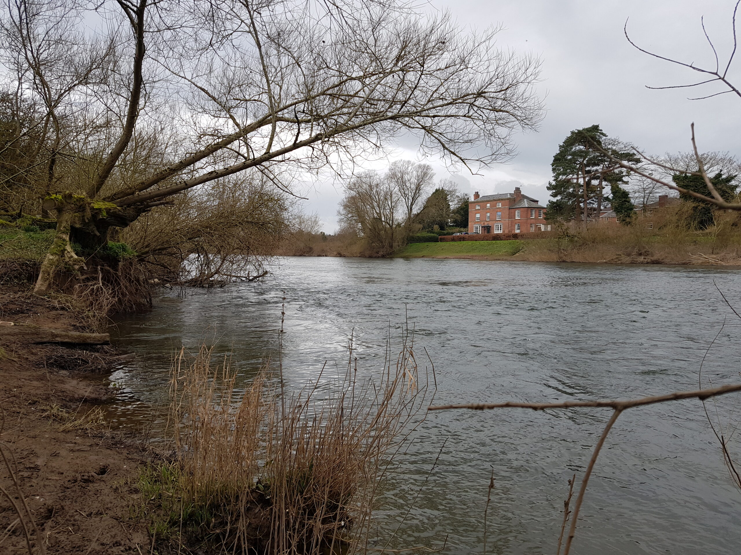 rossanglingclub.co.uk