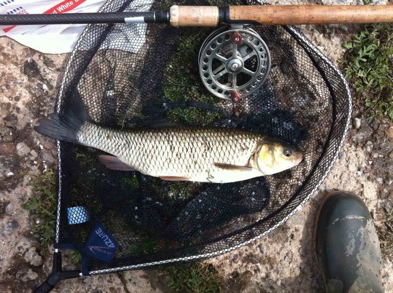 Fishing For Chub On A Centre Pin Reel For The First Time! 