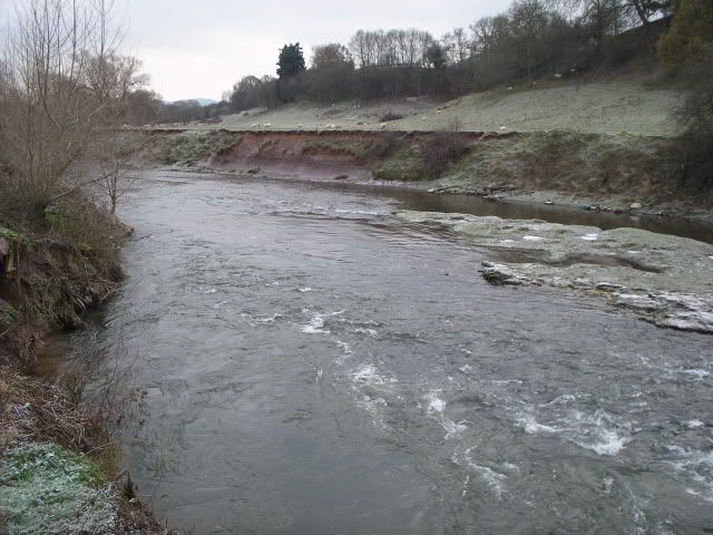 teme021.jpg