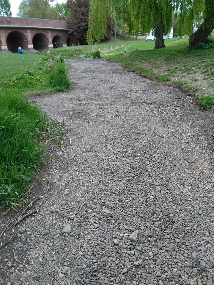 River%20Colne%20london%20colney_zpsaqwm4s5t.jpg