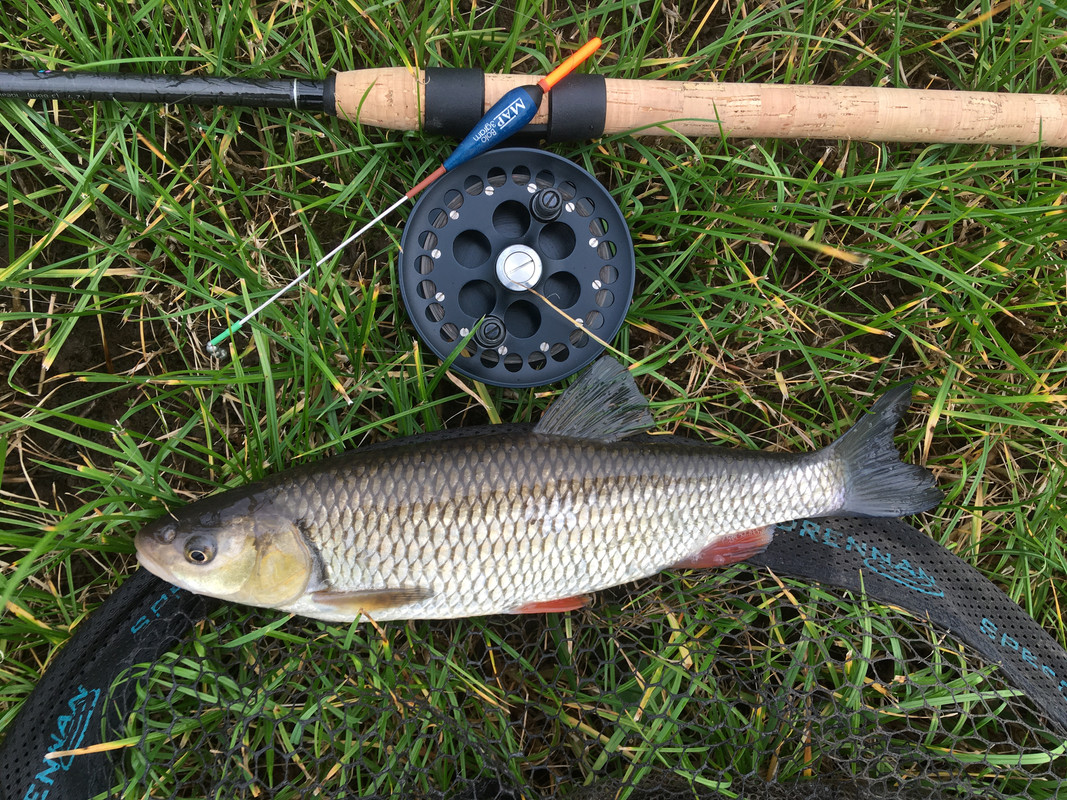 Adcock Stanton, any thoughts on the value of this reel? - The Traditional  Fisherman's Forum